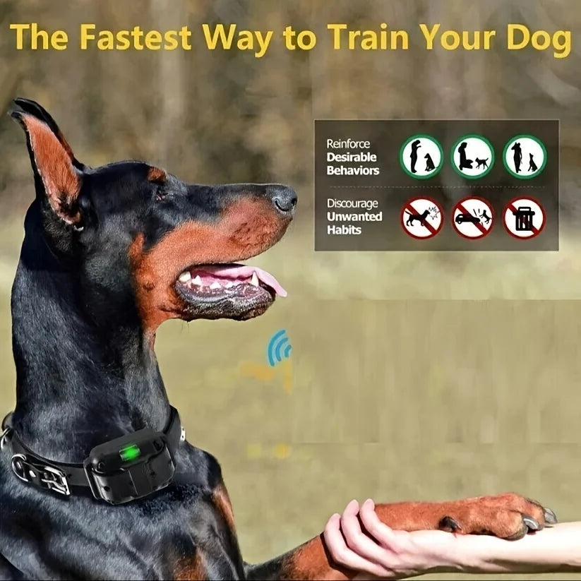Long-Range Dog Training, Rechargeable, Shock, Vibration & Remote Control Collar