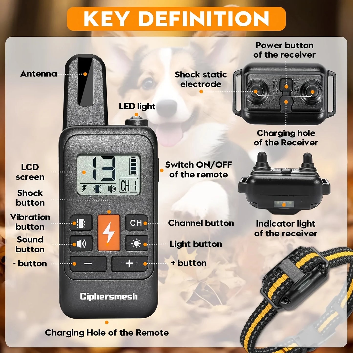 Long-Range Dog Training, Rechargeable, Shock, Vibration & Remote Control Collar